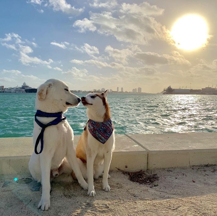 52766c5e1cb5482d34488bf23f