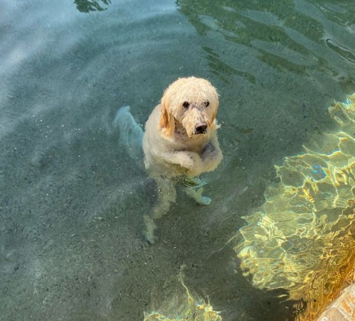 527ecc591cac0157c7bf61f6e0