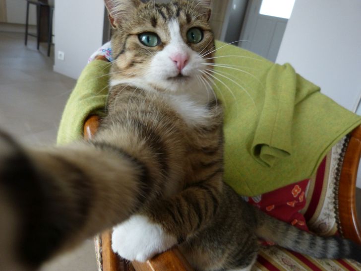 528015530ea3554b8aff60085c