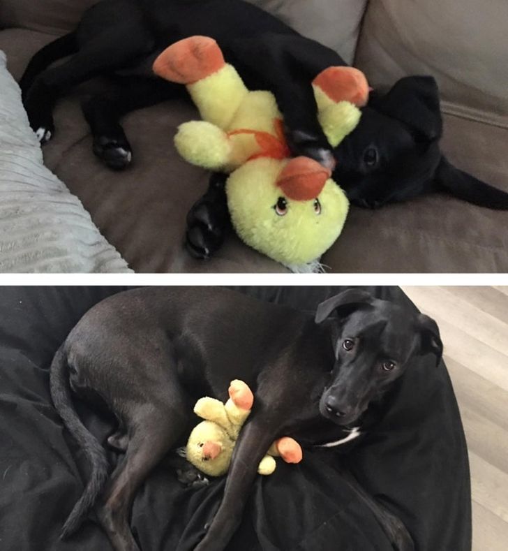 5283d45e89ae68fca0ca2ef6e7