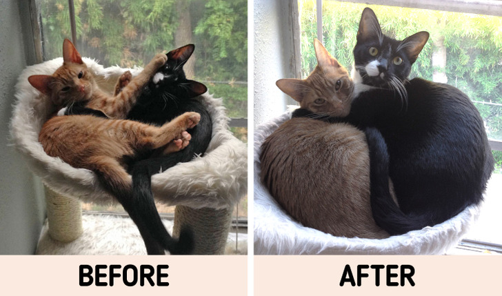 5284695baca69fb2df7c695f3f 5284695baca69fb2df7c695f3f