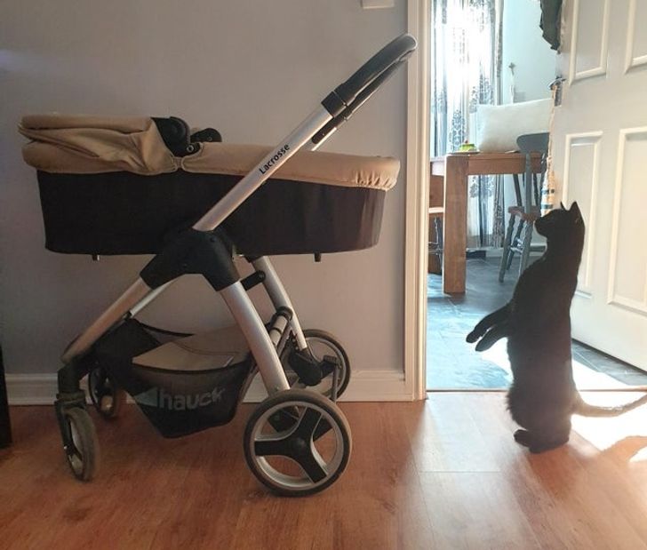 529ad1563ab0b972e2602da332