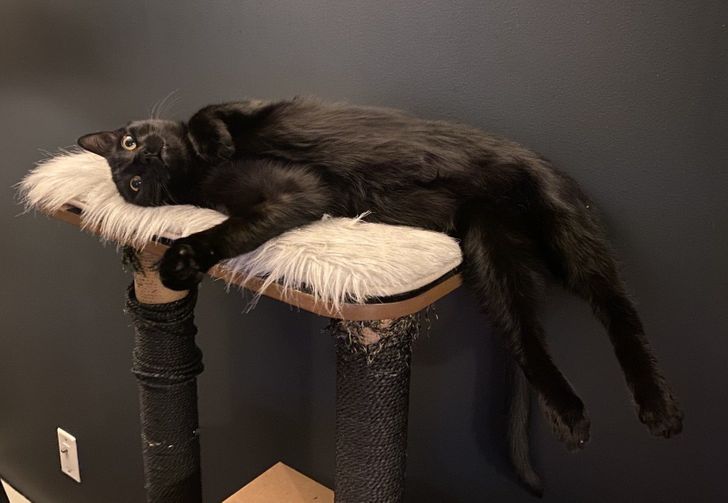 529f2d57f7919269e7336df8aa 529f2d57f7919269e7336df8aa