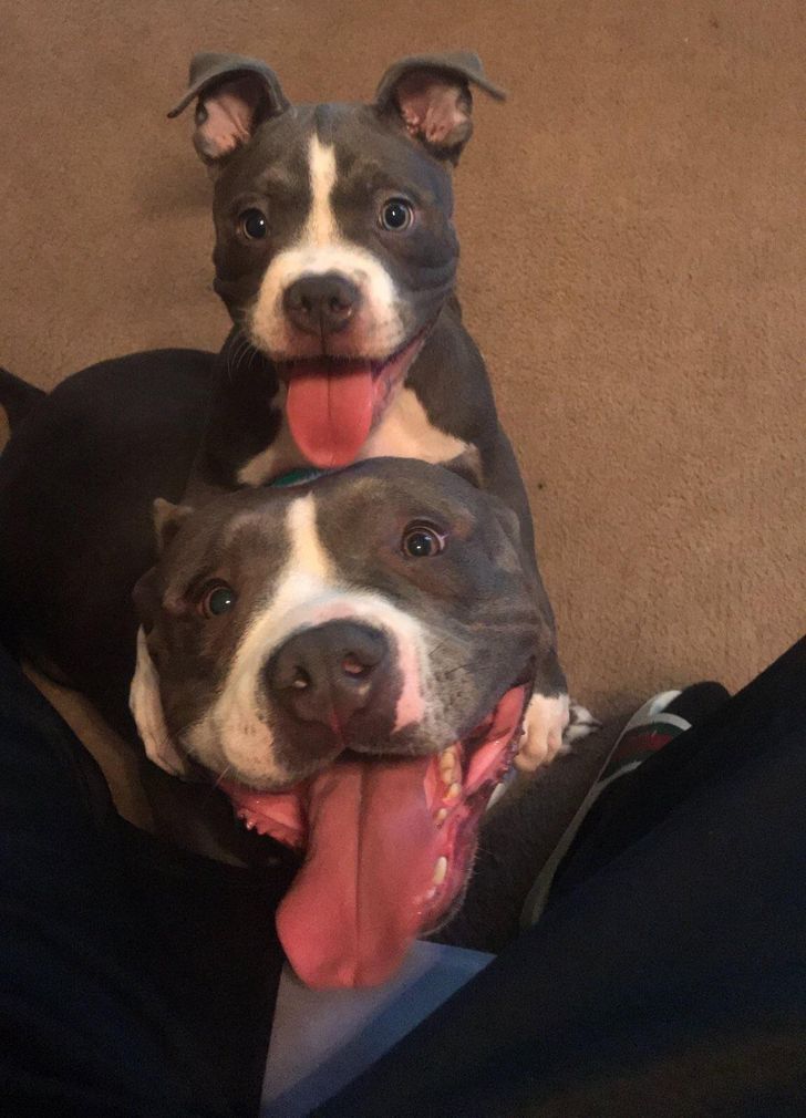 52a644579fa7934ece06bc0018 52a644579fa7934ece06bc0018