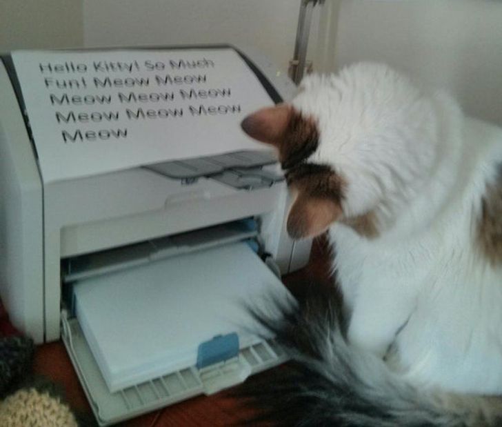 52a874569e8dae70dd8df4c862