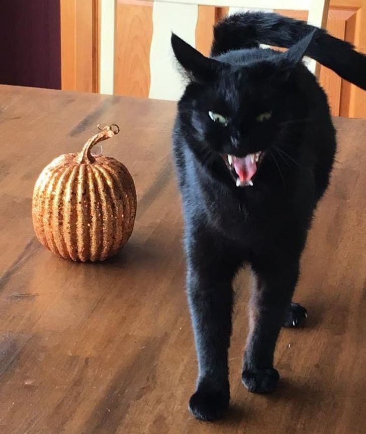 52b9675d54bdd776ead28c5f0c