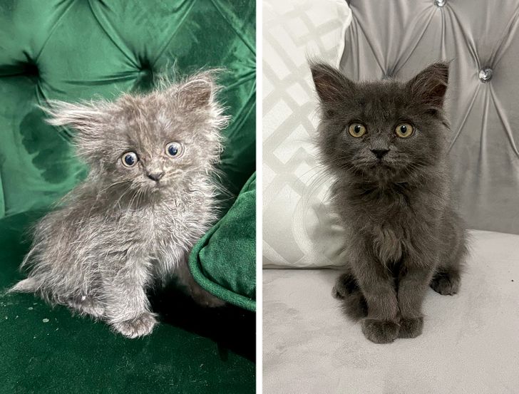 52bd055e12b52b21c9f2b2ad05