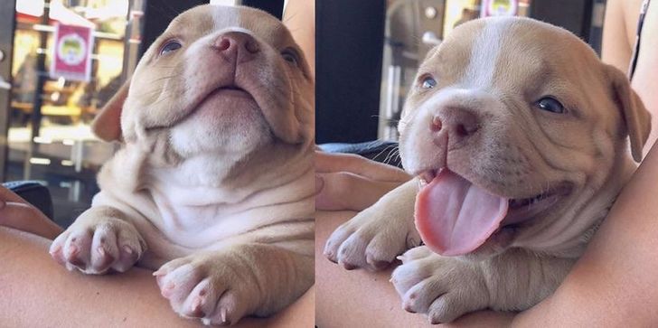 52be645a90a68030d554406096