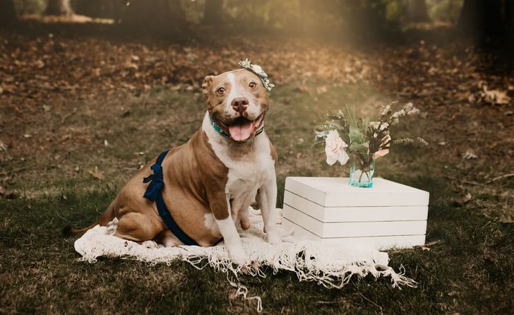 52c23a5a6cade45d564e5aa457