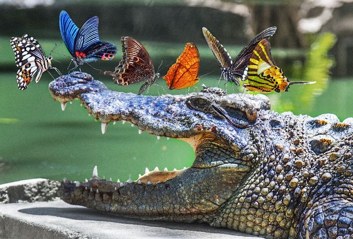 52c9c050ca987d3e42b81a7213