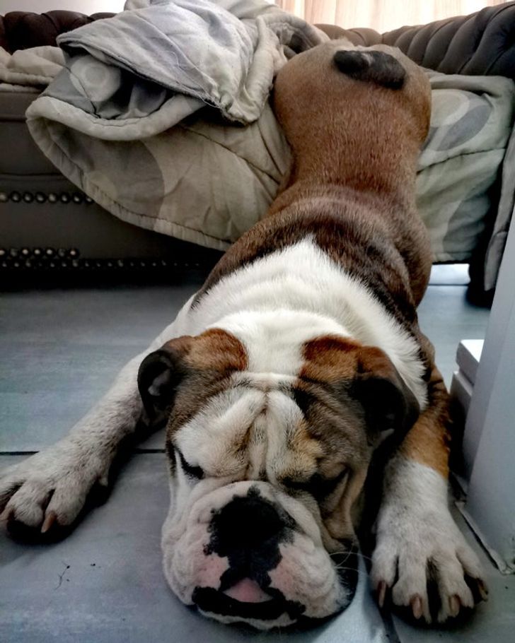 52c9cb5d69921eb2b116bfc90b