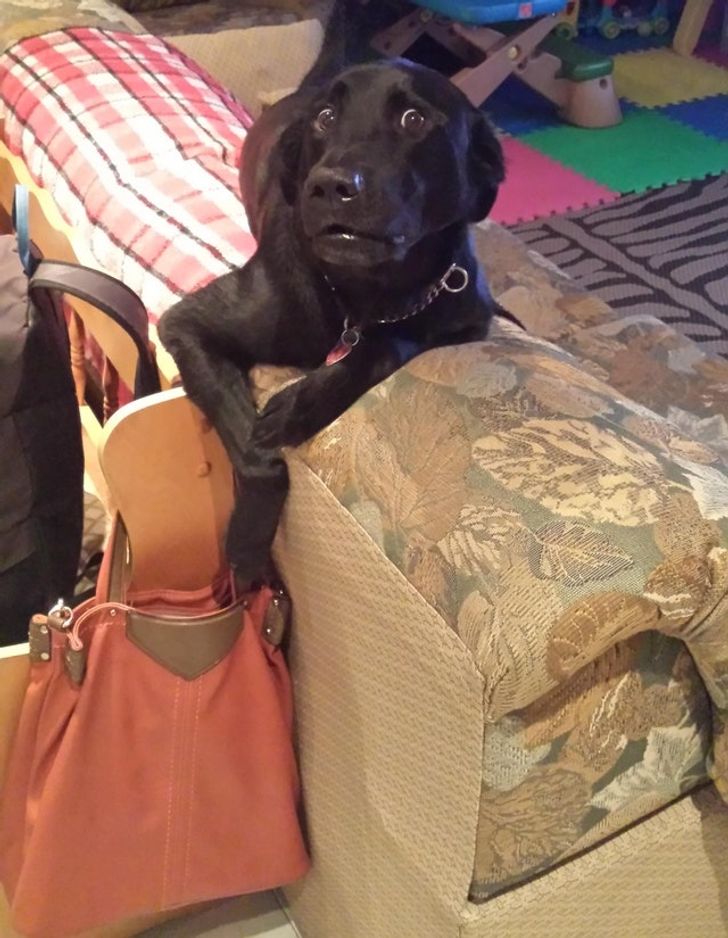 52ca075df9a3181c925adceda5 52ca075df9a3181c925adceda5