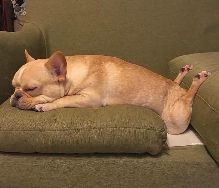 52d15f5f2083d632f0205f5429