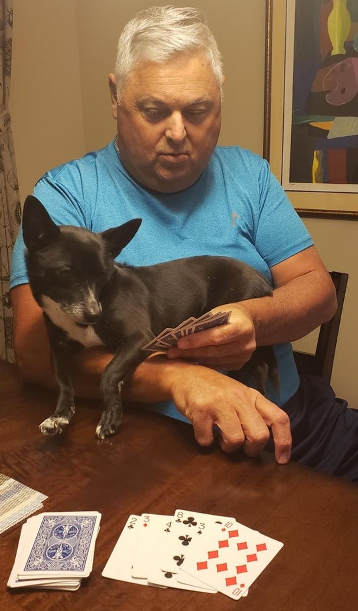 52d76e563c91f816763ea0c8ea