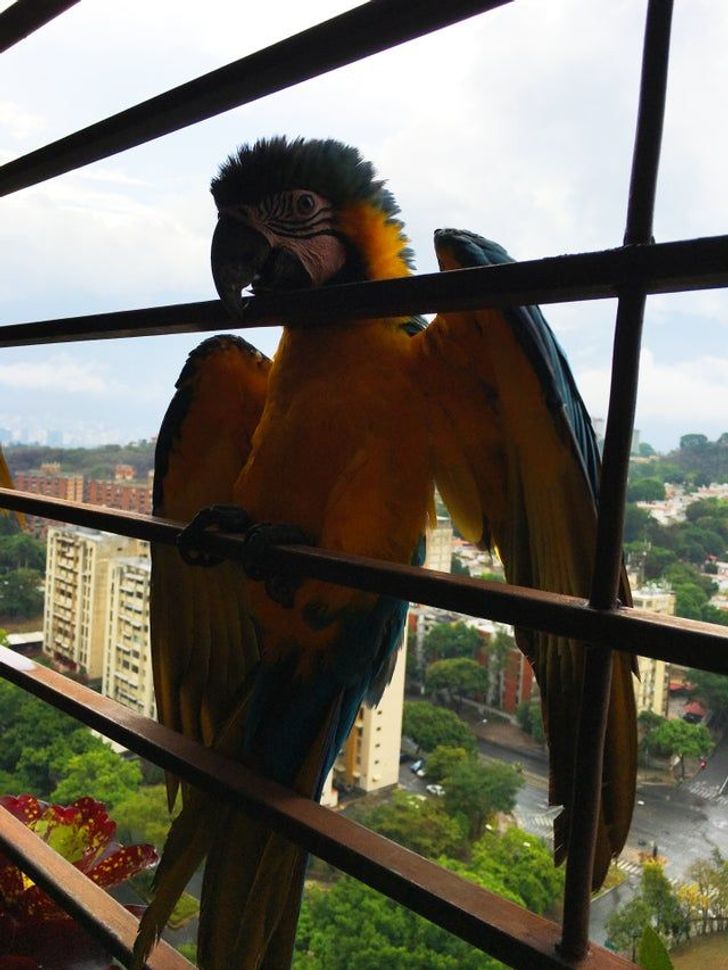 52dddd558aa2142134eaed4ba3