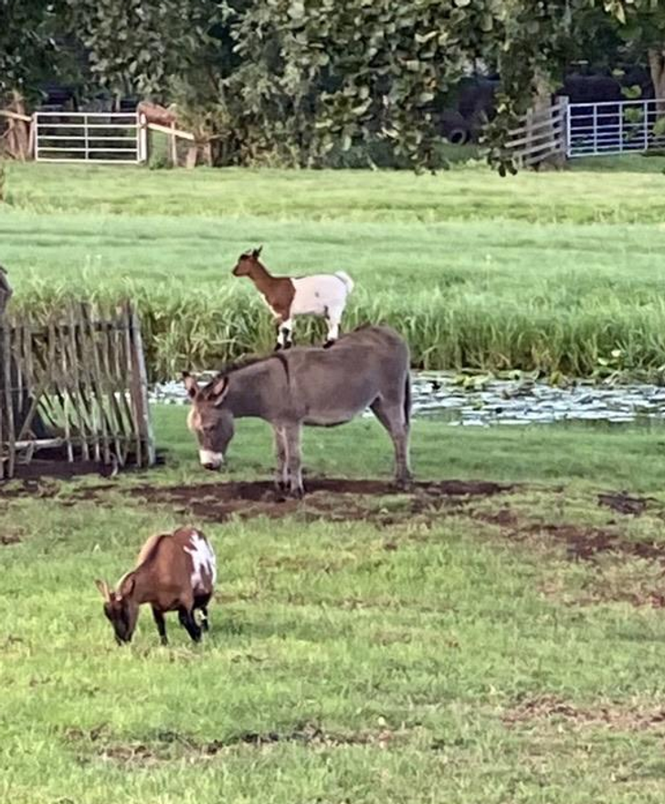 52f3055762ae085842501e5f42