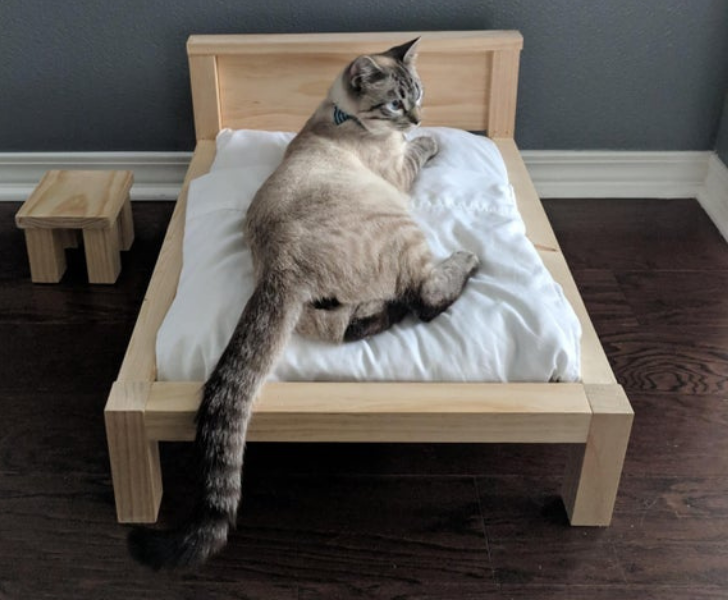 52f8265b98a5e3ecd51cbc9838 52f8265b98a5e3ecd51cbc9838