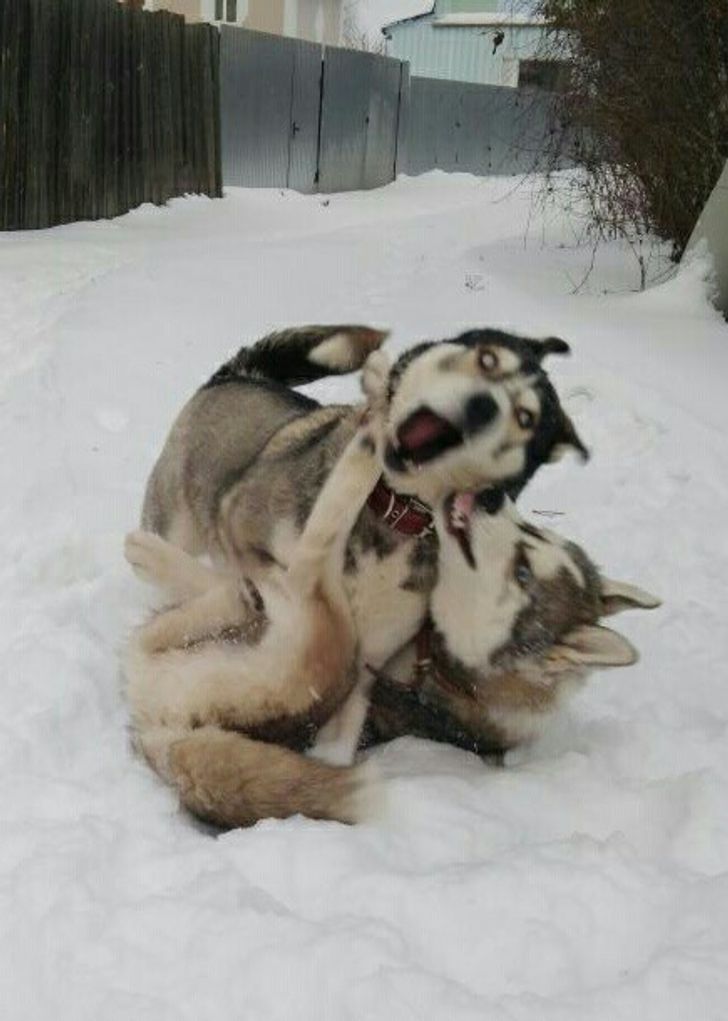 52f96e5255b114fd051eee6f1d