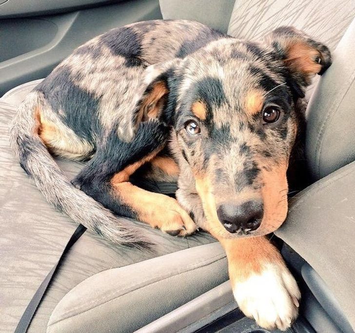 52fa955f759227c2a7787297a0