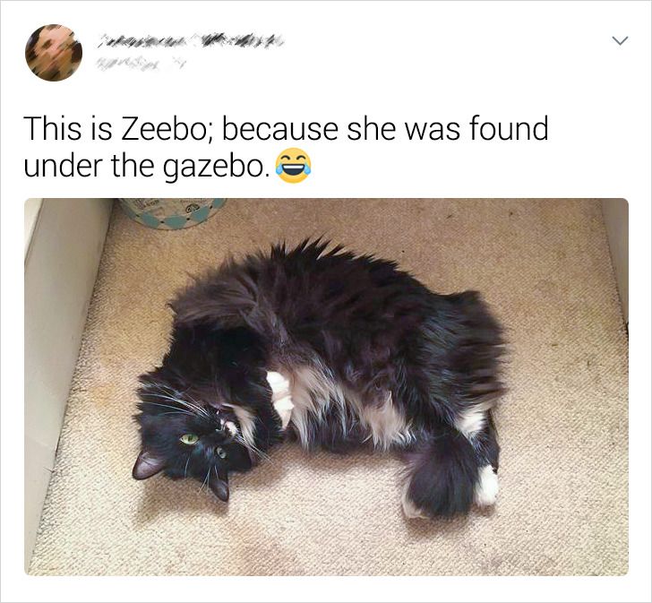 52fb1a55ba80038ff6206f267f