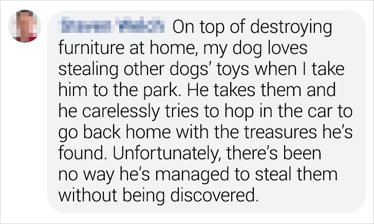 52fcbc50ab850f0d2deaf40f7a