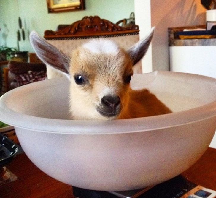 5309d550ca8db475d6a504ed9e