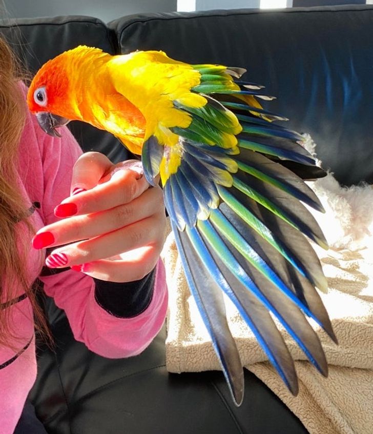 5310445d3ebddbcc025740590b