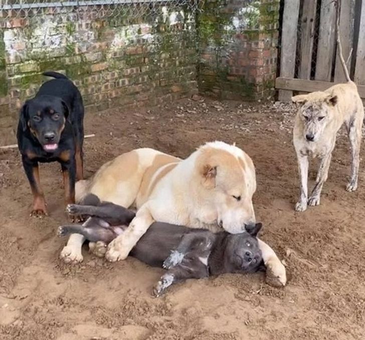 53127250fe89825f0646d63e06