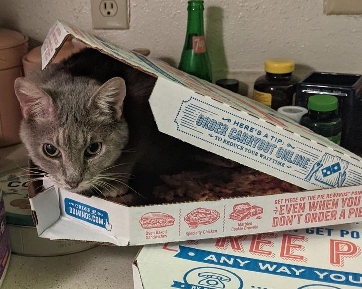 531276578f9700418aff5d2623