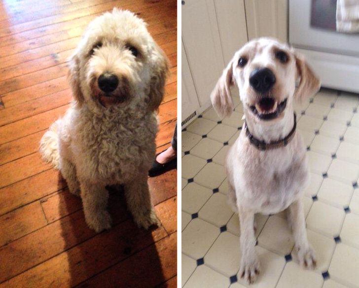 53130a5e1dab37688fe320fdaa