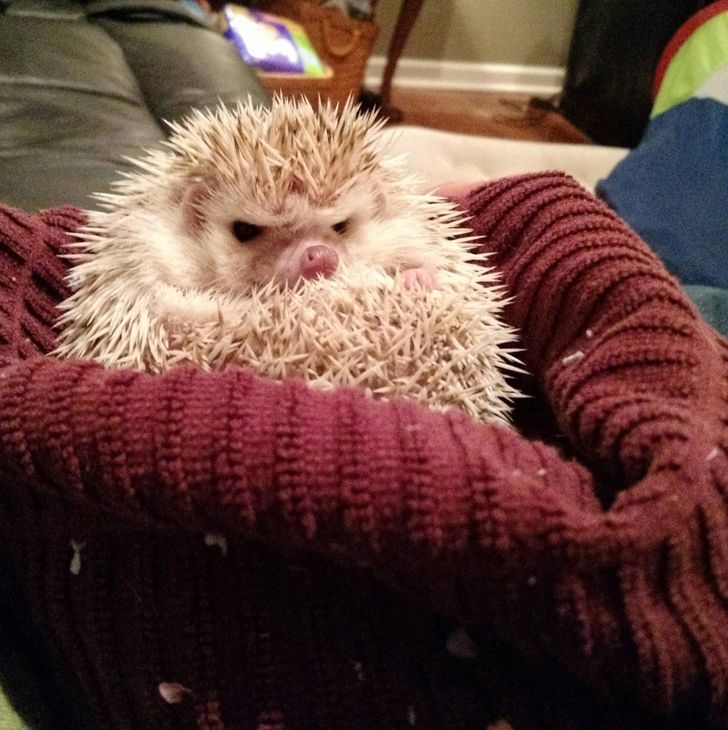 53145a5468824240a9de540397