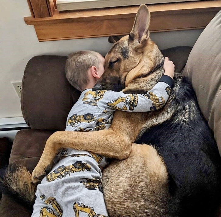 5314ba58ba88fc4fd7a97462dc