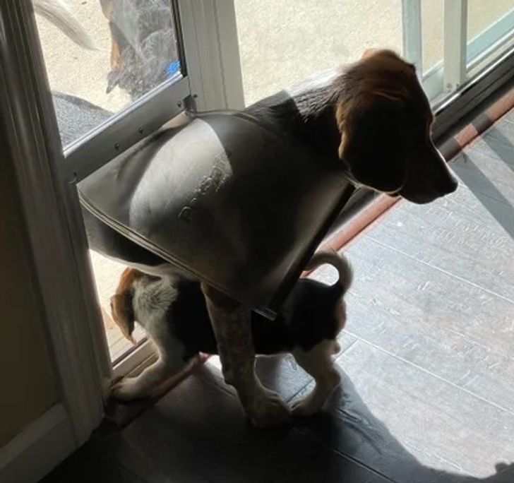 5314d85eac8372c380ed7cccca