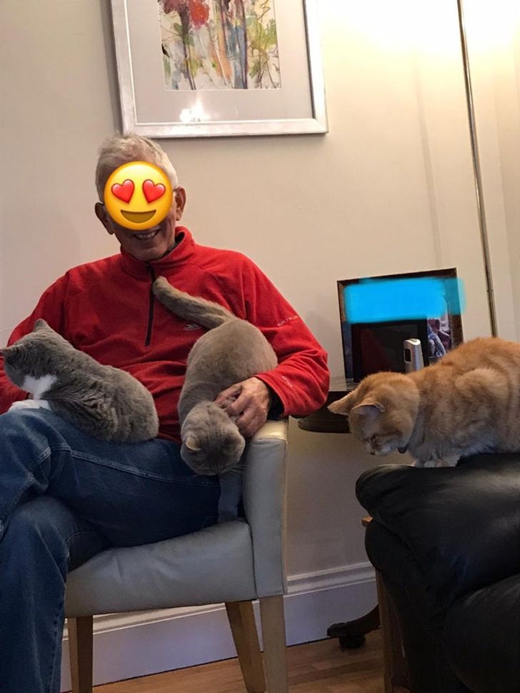 532c2d58f797d4e8c9ddb6a85c