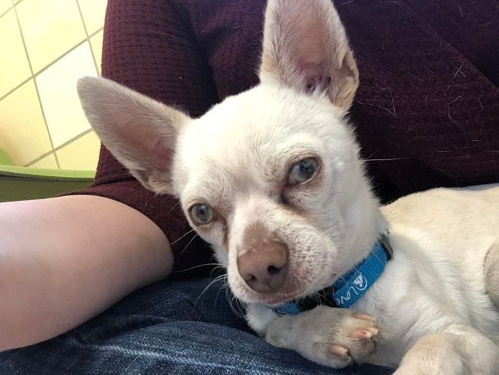 53335f5165b32395394c558ff8