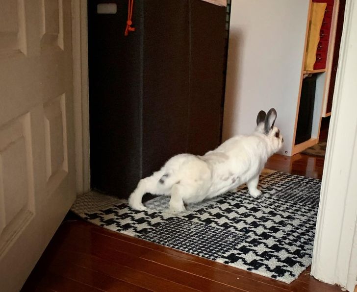 53364f5f36be8912a2eecc2962