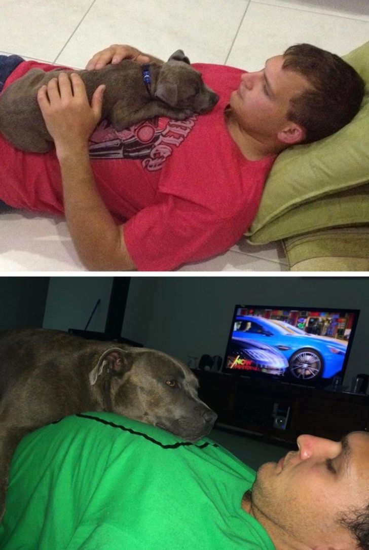 533eff52868e86dd10c3f5eb42