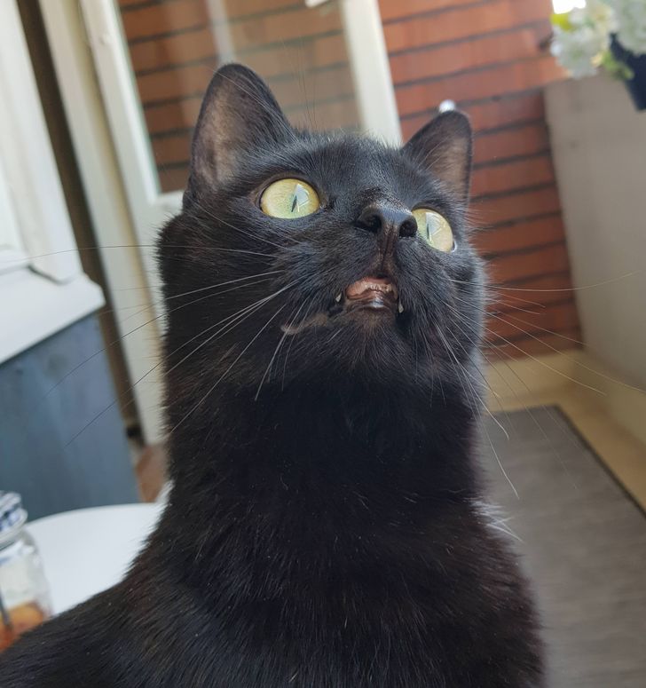 5343dc5b0fab66e56aaa231900