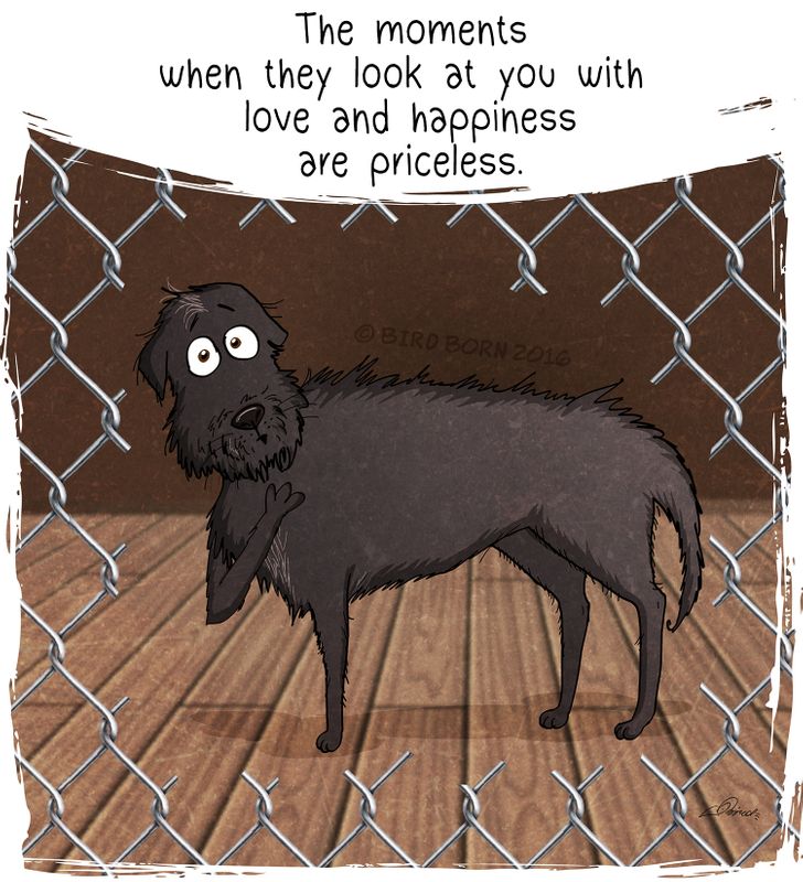 53457157f5a4933b3cb876b366