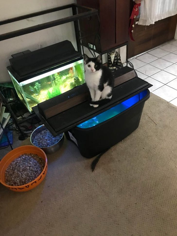 534aca5004b0c00792c698e743