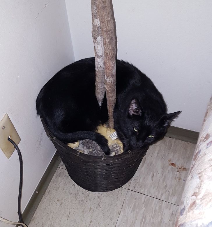 5359ae55929f552f17ae902952