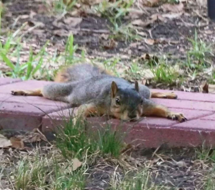 53659a5a4889f95a165669fd13