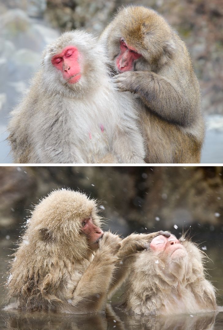 5369415d5cb1aaeb620cd9b04a