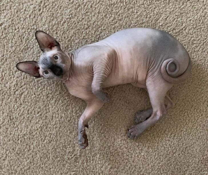 536a69506ca8635ab90308bbbf