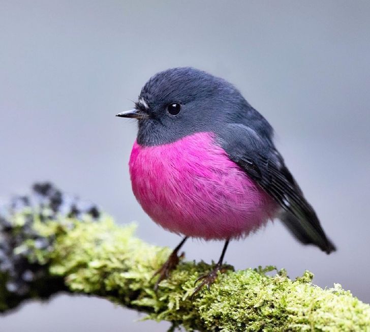 536e775f41a2d8c8cc678a7f4a