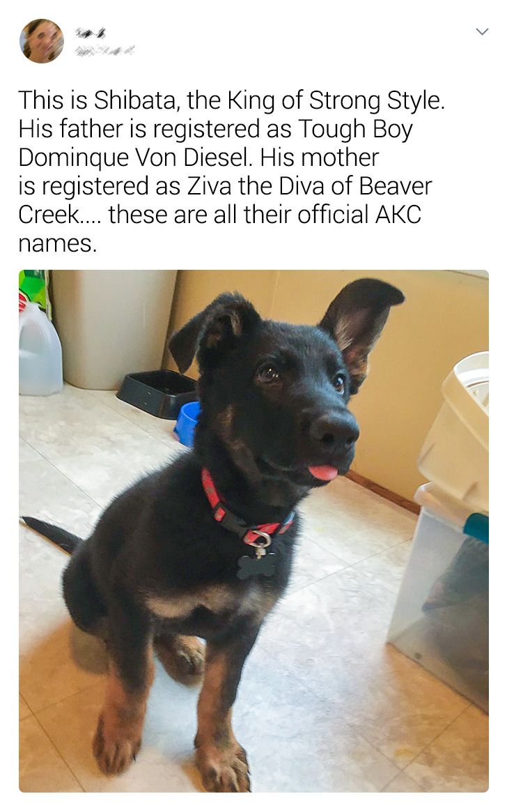 5372fc5b98bb0fbe0a058a6e10