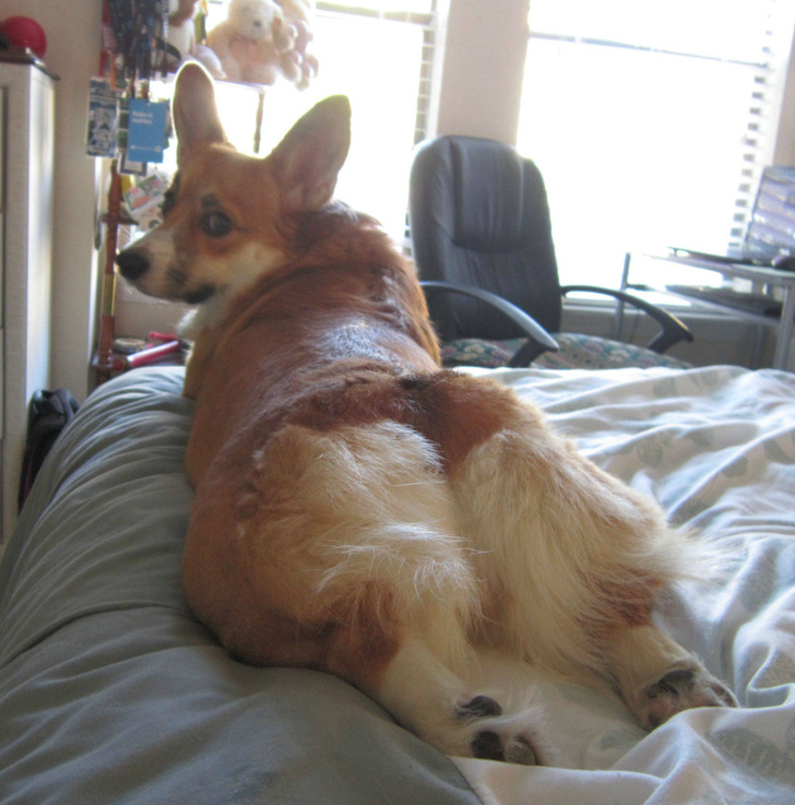 53770c58229c9642eefcd2218d