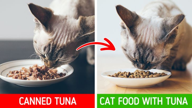 5377ff566bb5d19153be94fa9b