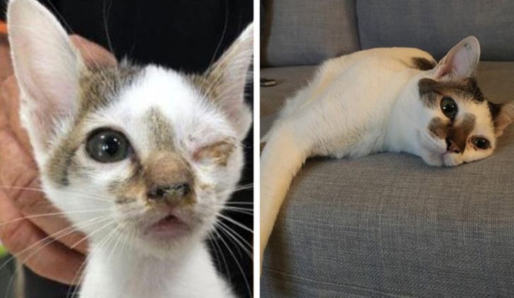 537b26546698c28e94ea65e30e