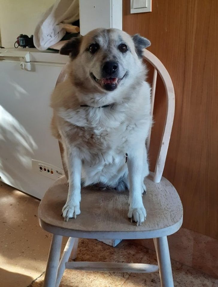 537baf5d12a685f0ed3b25061e